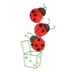 L’odyssée des coccinelles